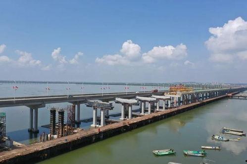 日本大桥友人母,一段感人至深的亲情传奇