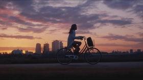 日本音乐电影1972,日本音乐电影的黄金岁月