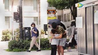 日本小伙求拥抱,跨越文化界限的温暖瞬间
