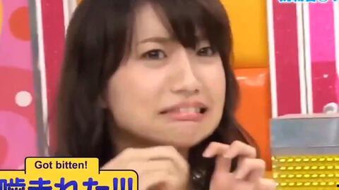 日本下药综艺,暗藏的真相与警示