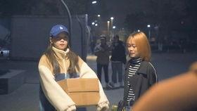 白相在线观看,穿越时空的奇幻之旅